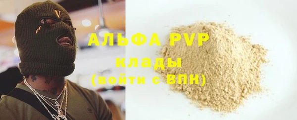прущие крисы Билибино