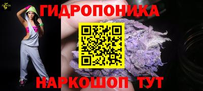 PSILOCYBIN Камышлов