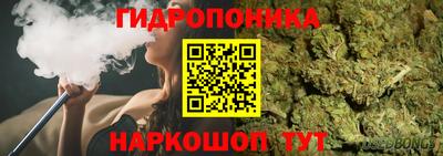 мяу мяу мука Канаш