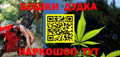 PSILOCYBIN Камышлов