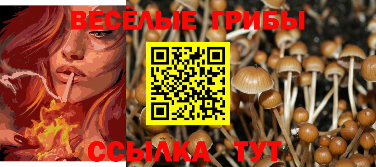 Галлюциногенные грибы Psilocybe  Вход с VPN  Лабинск  Псилоцибиновые грибы Psilocybe 